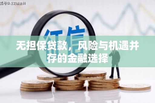 罗城无担保贷款，风险与机遇并存的金融选择