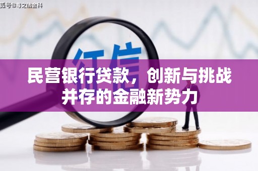 罗城民营银行贷款，创新与挑战并存的金融新势力
