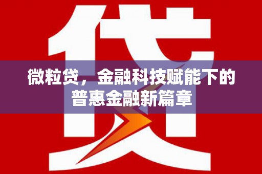 罗城微粒贷，金融科技赋能下的普惠金融新篇章