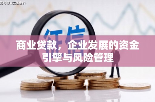 罗城商业贷款，企业发展的资金引擎与风险管理