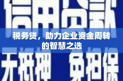 罗城税务贷，助力企业资金周转的智慧之选