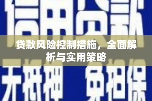 罗城贷款风险控制措施，全面解析与实用策略