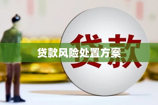 罗城贷款风险处置方案