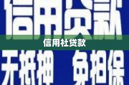 罗城信用社贷款