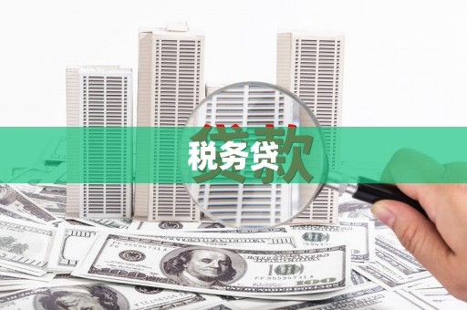 罗城税务贷