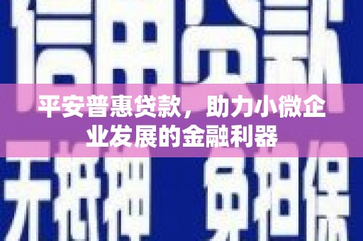 罗城平安普惠贷款，助力小微企业发展的金融利器