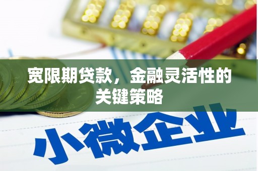 罗城宽限期贷款，金融灵活性的关键策略