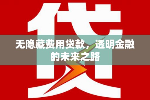 罗城无隐藏费用贷款，透明金融的未来之路