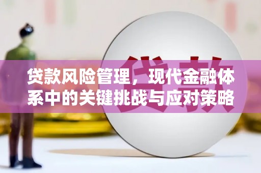 罗城贷款风险管理，现代金融体系中的关键挑战与应对策略