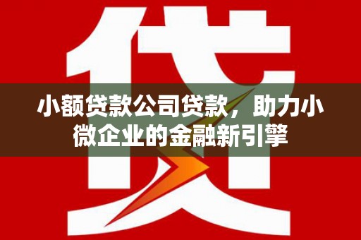 罗城小额贷款公司贷款，助力小微企业的金融新引擎