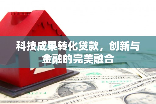 罗城科技成果转化贷款，创新与金融的完美融合