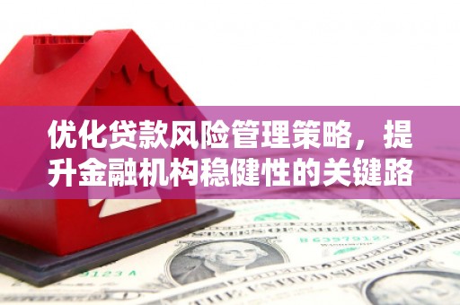 罗城优化贷款风险管理策略，提升金融机构稳健性的关键路径
