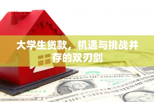 罗城大学生贷款，机遇与挑战并存的双刃剑