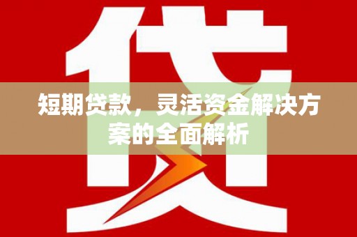 罗城短期贷款，灵活资金解决方案的全面解析