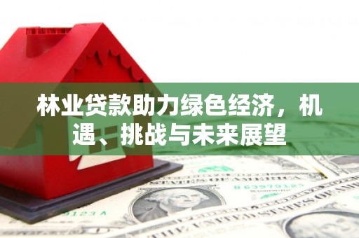 罗城林业贷款助力绿色经济，机遇、挑战与未来展望