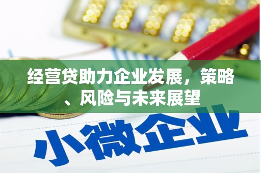 罗城经营贷助力企业发展，策略、风险与未来展望