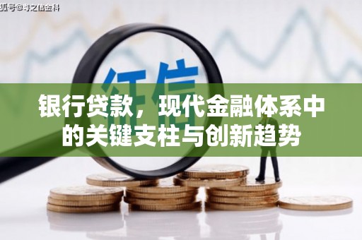 罗城银行贷款，现代金融体系中的关键支柱与创新趋势