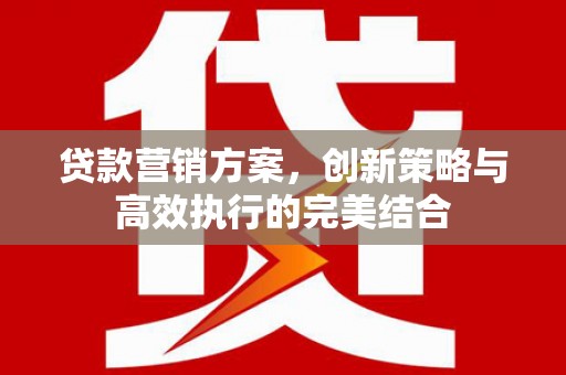 罗城贷款营销方案，创新策略与高效执行的完美结合