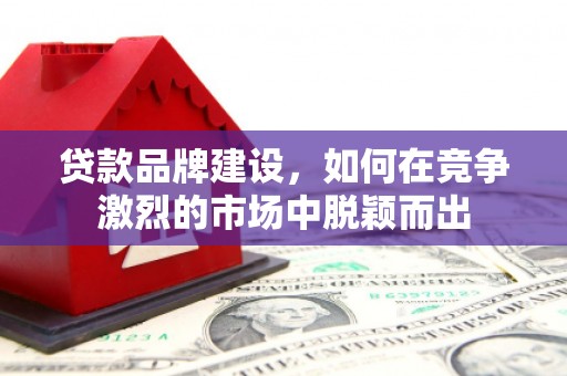 罗城贷款品牌建设，如何在竞争激烈的市场中脱颖而出