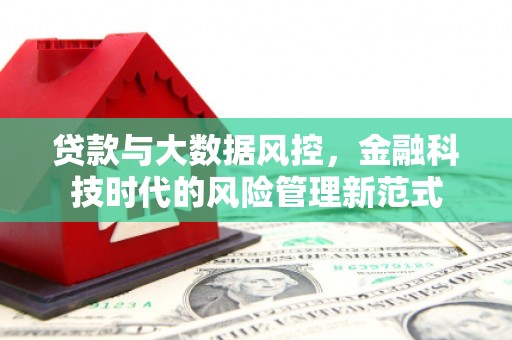 罗城贷款与大数据风控，金融科技时代的风险管理新范式