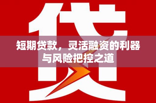 罗城短期贷款，灵活融资的利器与风险把控之道