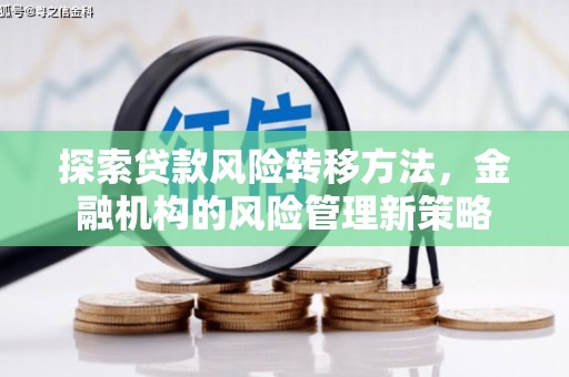 罗城探索贷款风险转移方法，金融机构的风险管理新策略