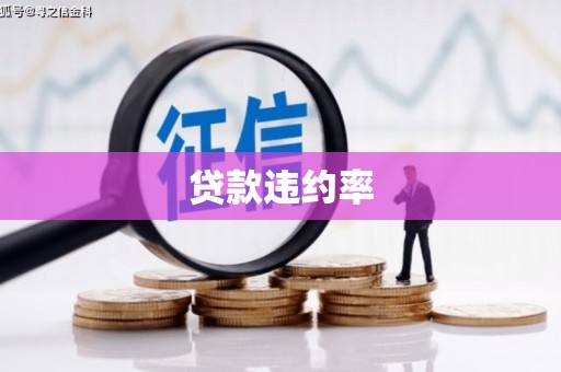 罗城贷款违约率