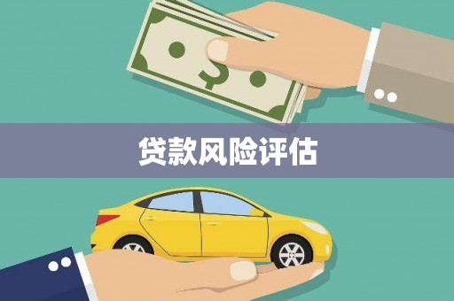 罗城贷款风险评估