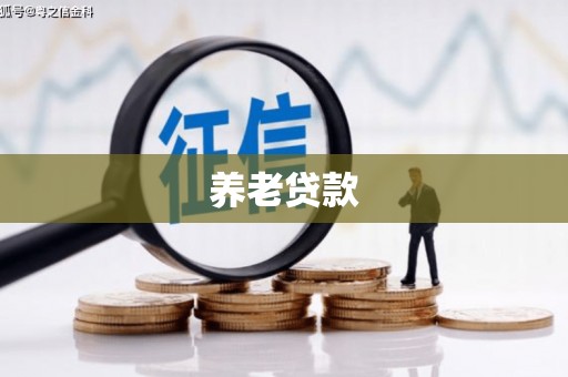 罗城养老贷款