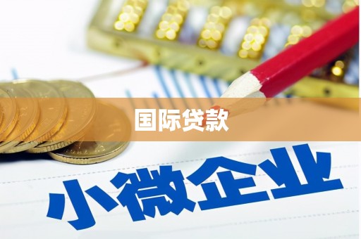 罗城国际贷款