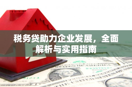 罗城税务贷助力企业发展，全面解析与实用指南