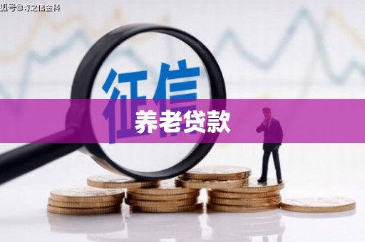 罗城养老贷款