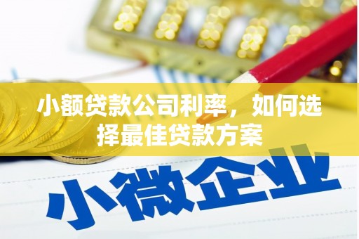 罗城小额贷款公司利率，如何选择最佳贷款方案