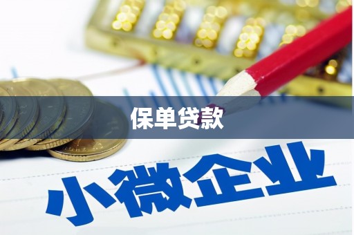 罗城保单贷款