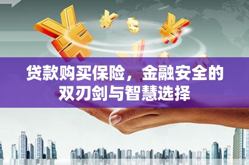罗城贷款购买保险，金融安全的双刃剑与智慧选择