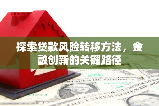 罗城探索贷款风险转移方法，金融创新的关键路径