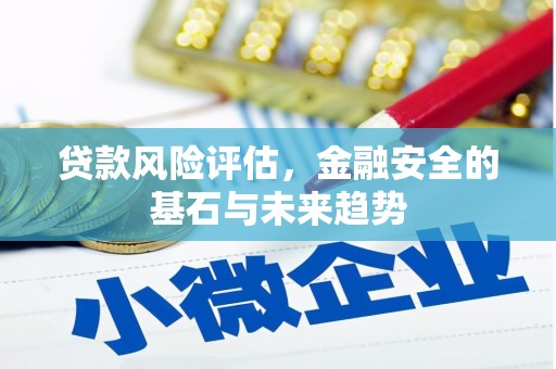 罗城贷款风险评估，金融安全的基石与未来趋势