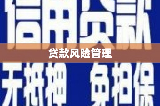 罗城贷款风险管理
