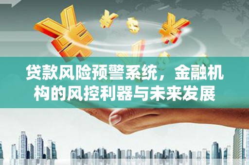 罗城贷款风险预警系统，金融机构的风控利器与未来发展