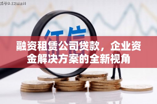 罗城融资租赁公司贷款，企业资金解决方案的全新视角