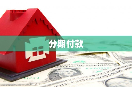 罗城分期付款