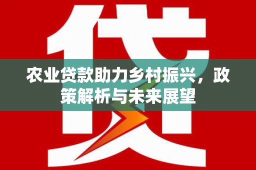 罗城农业贷款助力乡村振兴，政策解析与未来展望
