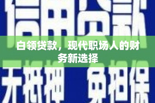 罗城白领贷款，现代职场人的财务新选择