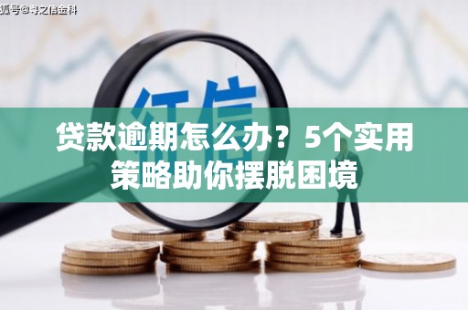 罗城贷款逾期怎么办？5个实用策略助你摆脱困境