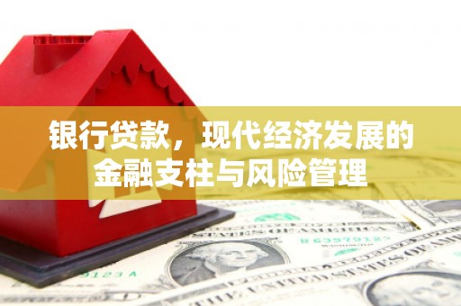 罗城银行贷款，现代经济发展的金融支柱与风险管理