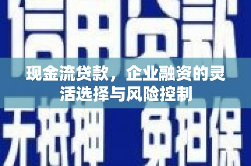 罗城现金流贷款，企业融资的灵活选择与风险控制