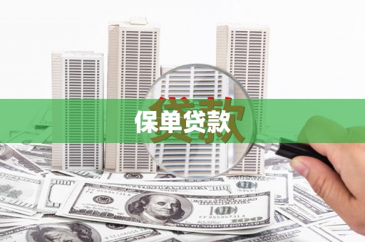 罗城保单贷款
