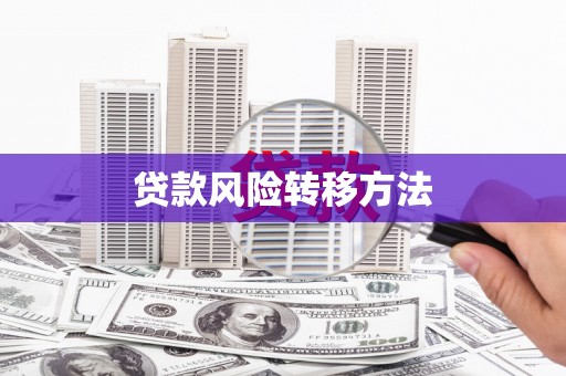 罗城贷款风险转移方法
