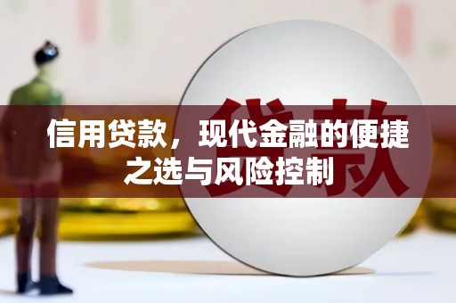 罗城信用贷款，现代金融的便捷之选与风险控制