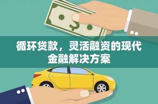 罗城循环贷款，灵活融资的现代金融解决方案
